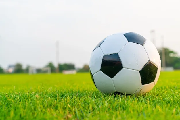 B体育平台 优惠活动